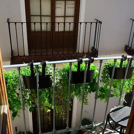 Oliva Molinillo * Málaga